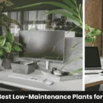 Collection of best low-maintenance plants for busy people including snake plant, ZZ plant, and pothos in pots on a bright windowsill with natural light.