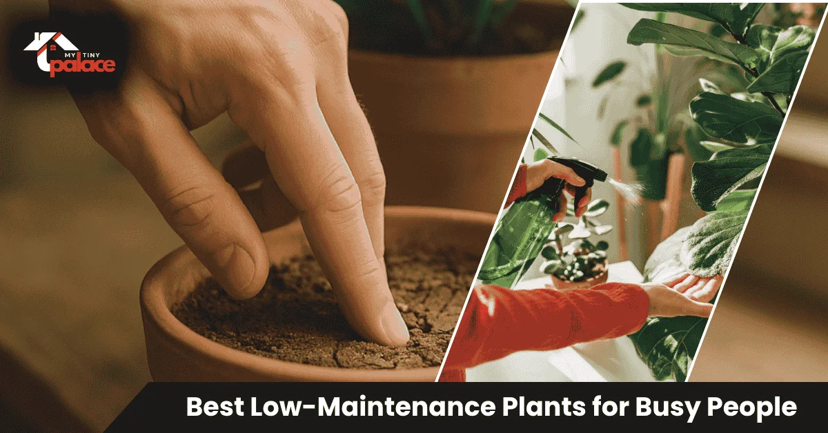 Close-up of finger testing soil moisture on a low-maintenance houseplant, demonstrating simple weekly care routine for busy plant owners.