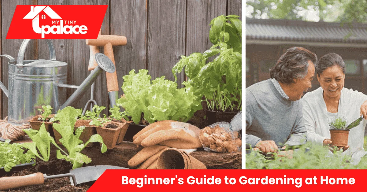 A first-time gardener planting seeds in containers on a balcony, learning essential tips from the Beginner’s Guide to Gardening at Home.