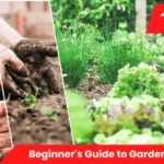 A beginner arranging small pots of herbs on a sunny windowsill, following simple steps from the Beginner’s Guide to Gardening at Home.