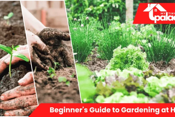 A beginner arranging small pots of herbs on a sunny windowsill, following simple steps from the Beginner’s Guide to Gardening at Home.