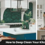 Clean modern kitchen with spotless counters and shining appliances showing results of How to Deep Clean Your Kitchen in 1 Hour method