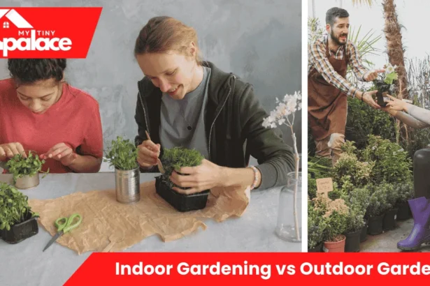 A cozy windowsill filled with herbs and potted plants showing the contrast between Indoor Gardening vs Outdoor Gardening styles, with sunlight streaming through the window.