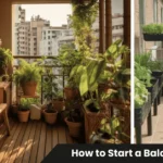 Small apartment balcony transformed into a thriving container garden showing how to start a balcony garden with pots of herbs, flowers, and vegetables