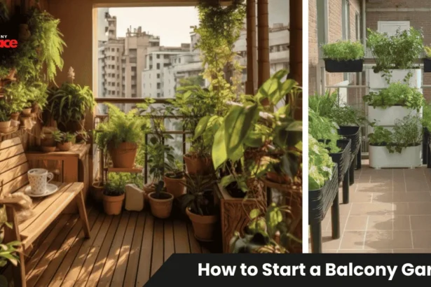 Small apartment balcony transformed into a thriving container garden showing how to start a balcony garden with pots of herbs, flowers, and vegetables