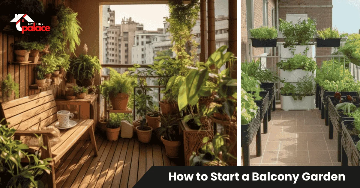 Small apartment balcony transformed into a thriving container garden showing how to start a balcony garden with pots of herbs, flowers, and vegetables