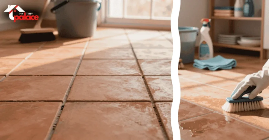 A close-up of a professional pH-neutral cleaning solution and a soft scrubbing brush in the foreground with a wide view of a sunlit patio featuring clean unsealed terracotta tiles in the background.